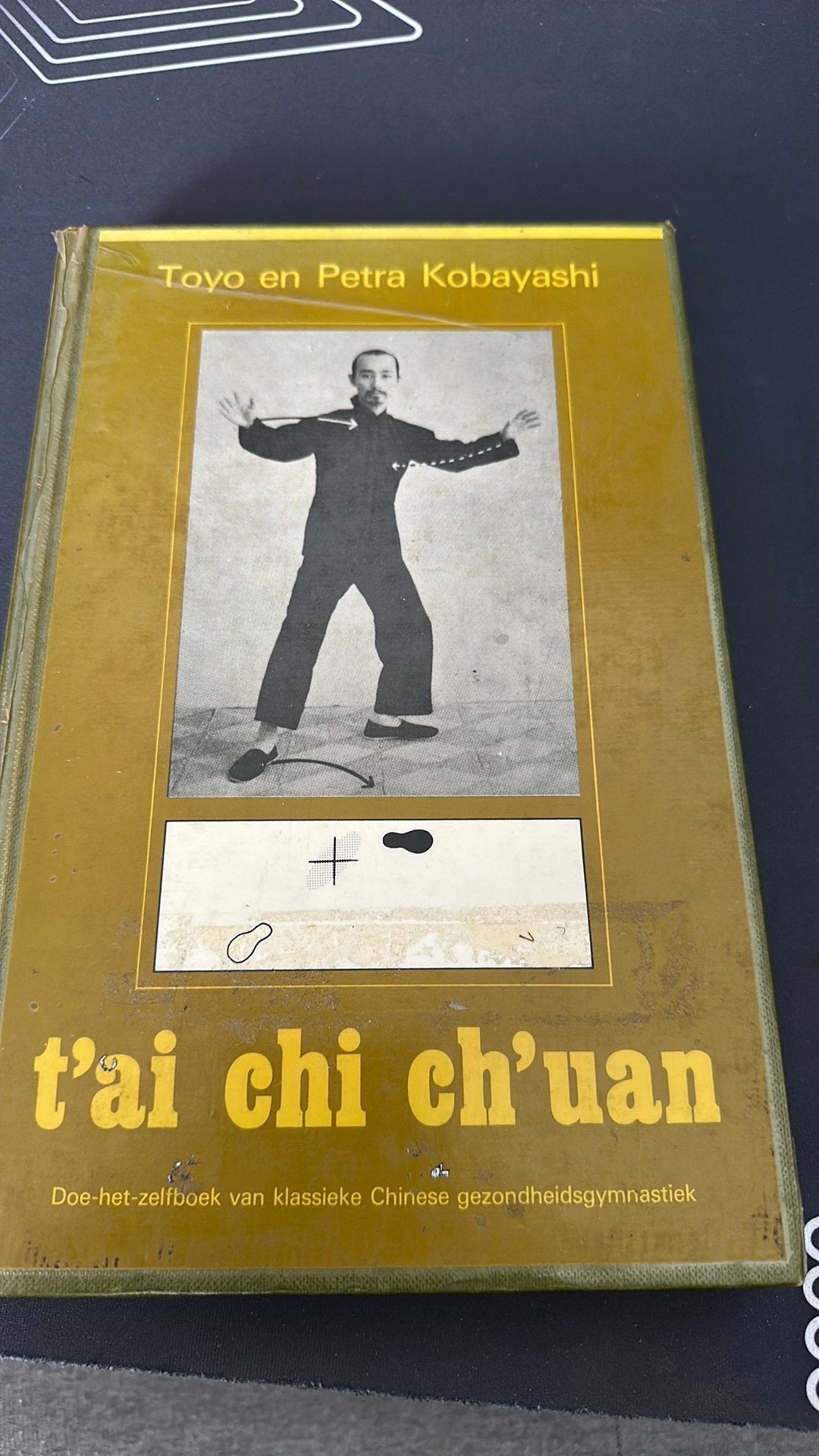 Tai chi ch’uan boek, Ophalen of Verzenden, Gelezen