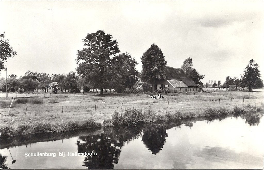 Schuilenburg bij Hellendoorn boerderij en koeien, Verzenden, 1960 tot 1980, Gelopen, Overijssel