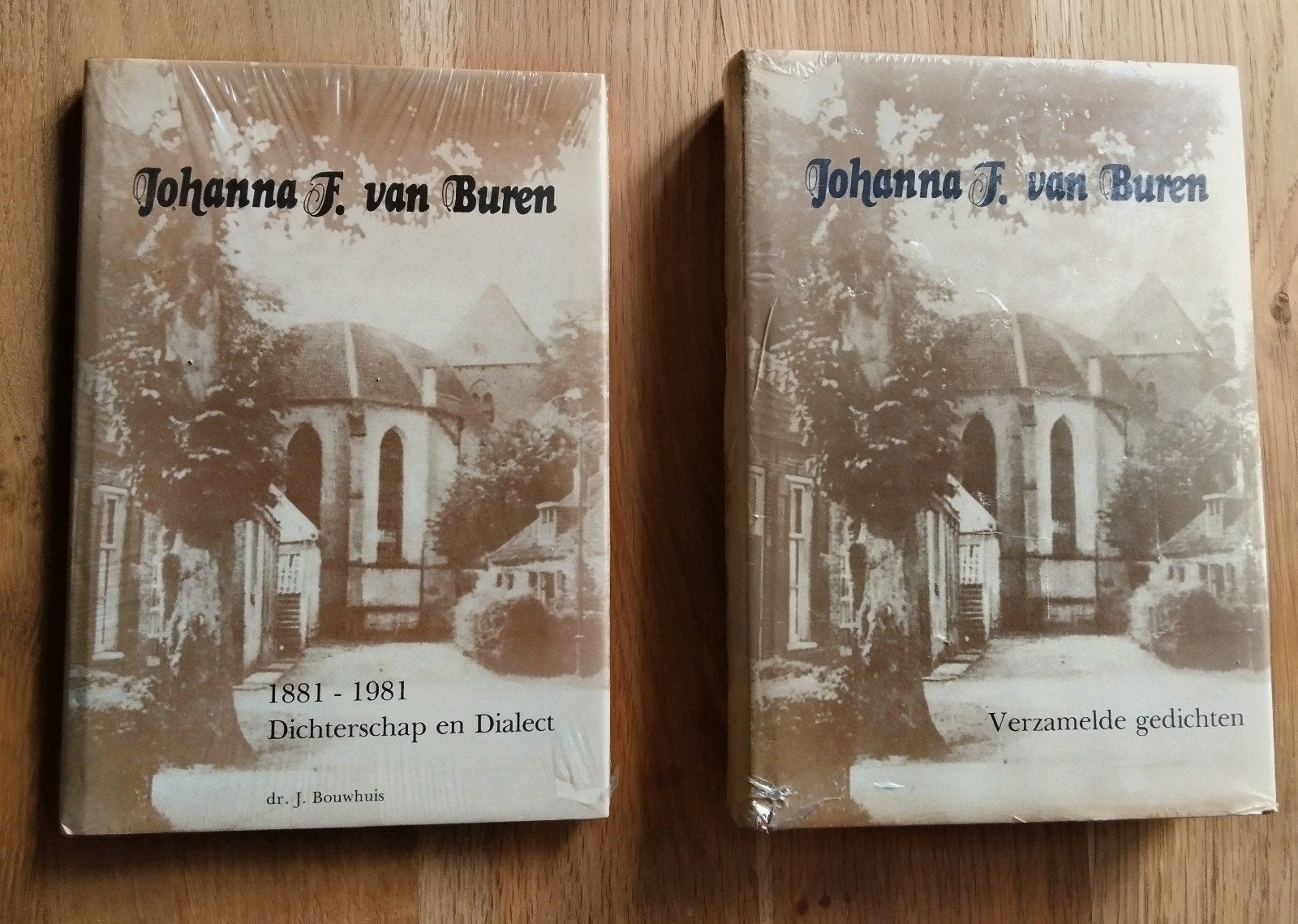 Johanna F. van Buren: Dichterschap en Dialect (1881-1981), Boeken, Verzenden