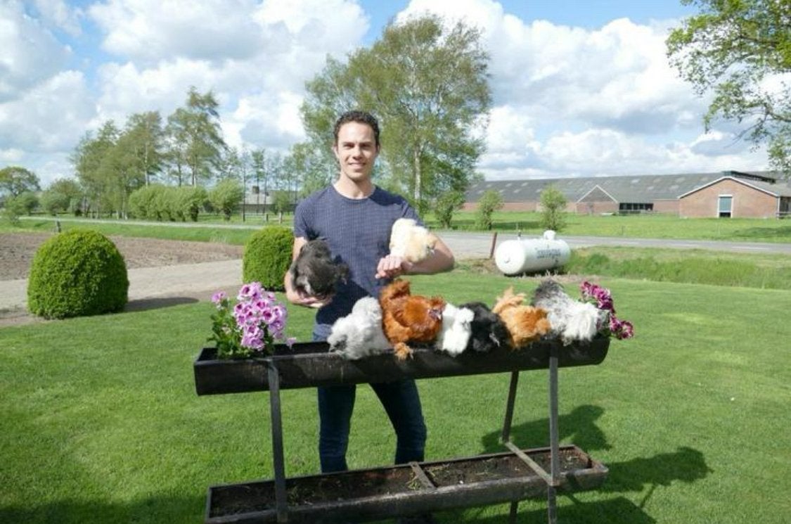 🐣❣️Prachtige Gesexte Zijdehoender Kriel Kuikens❣️🐣, Dieren en Toebehoren, Vrouwelijk, Kip