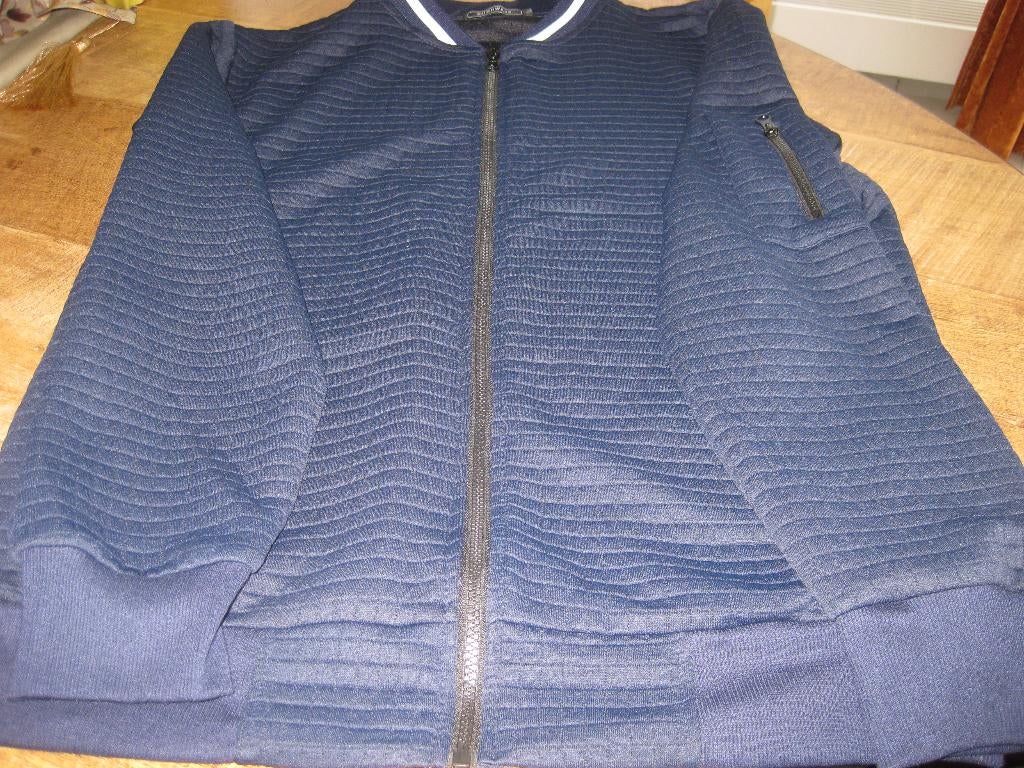Herenvest maat L, Ophalen of Verzenden, Nieuw, Maat 52/54 (L), Blauw