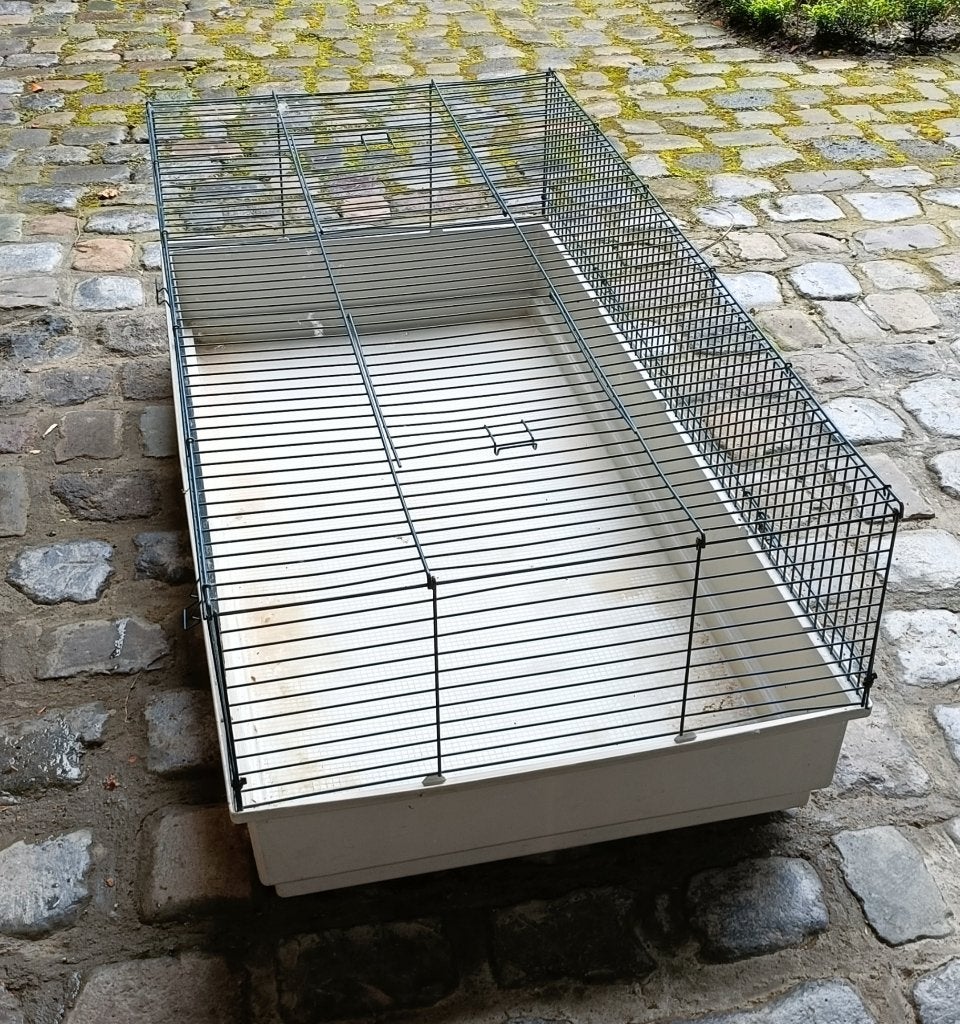 Grote cavia/konijnen kooi 70x140cm, Kooi, Eekhoorn, Ophalen, Minder dan 60 cm