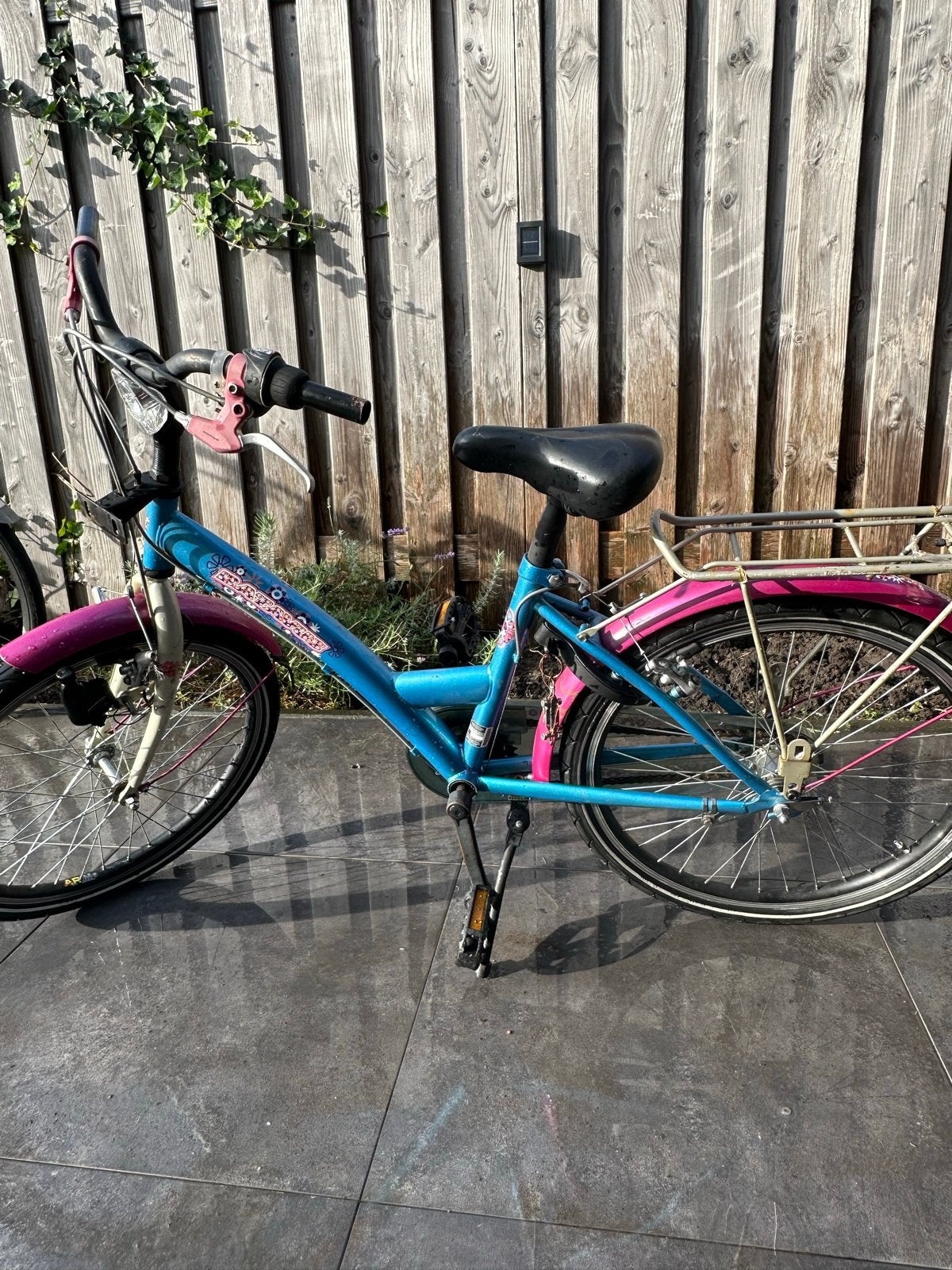 Kinderfiets 22 inch - Blauw/Roze, Fietsen en Brommers, Ophalen, Terugtraprem, 22 inch, Gebruikt