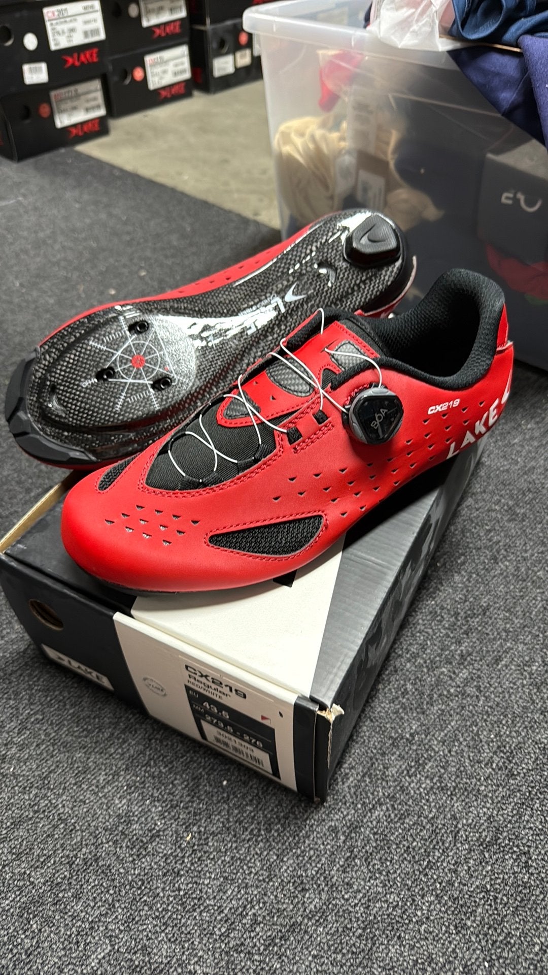 Lake cx219 wielerschoenen nieuw maat 43.5, J, Schoenen, Nieuw, Ophalen of Verzenden
