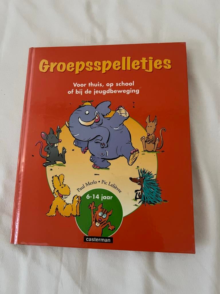Groepsspelletjes voor thuis, school of jeugdbeweging 6-14 ja, Ophalen of Verzenden, Zo goed als nieuw, Non-fictie