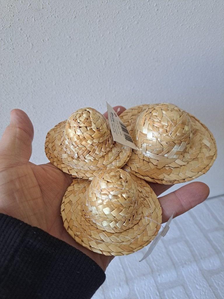 Poppenhoedjes riet 3 stuks mini hoedjes, Ophalen of Verzenden, Nieuw, Overige typen