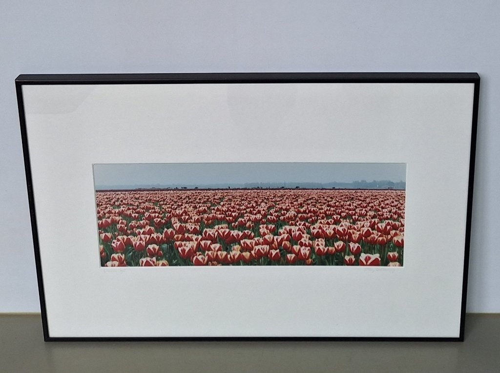 kunstfoto Elly Valkering Limmen tulpen bollenveld gesigneerd, Ophalen of Verzenden, Foto, Fotografie