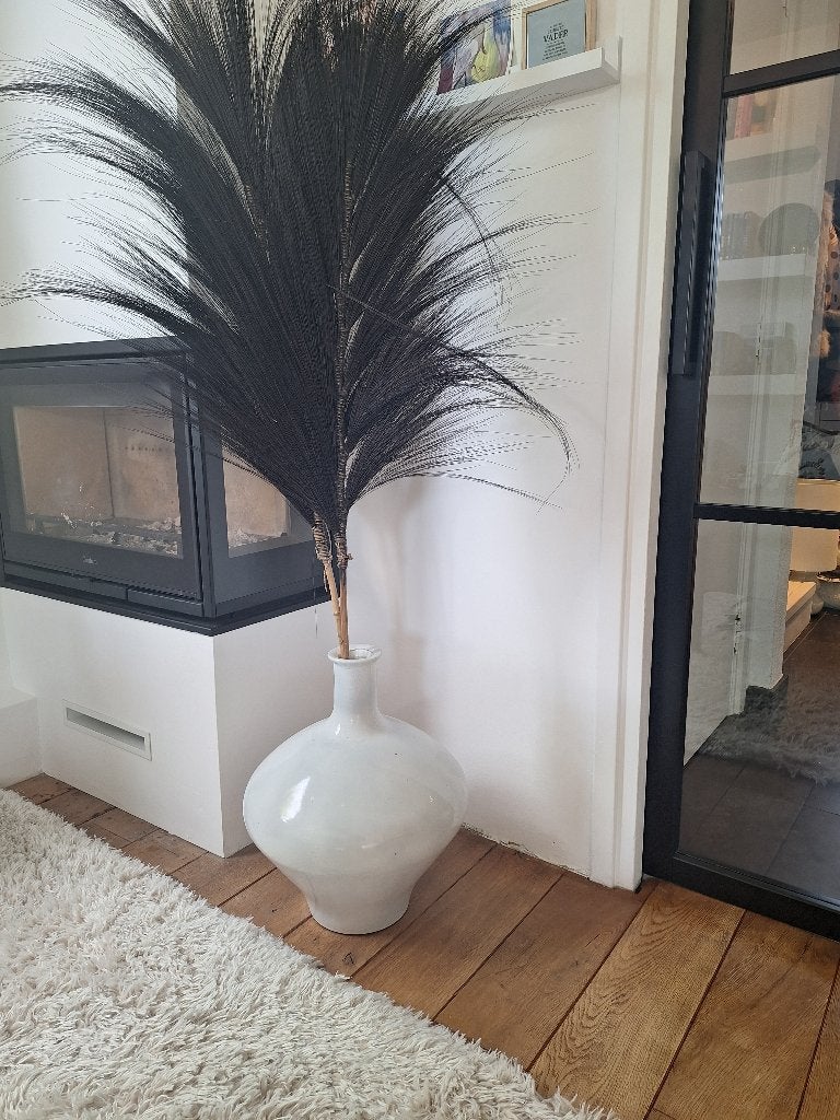 Mooi Pampas gras in grote vaas / pot, Ophalen of Verzenden, Vaste plant, Overige soorten, Volle zon