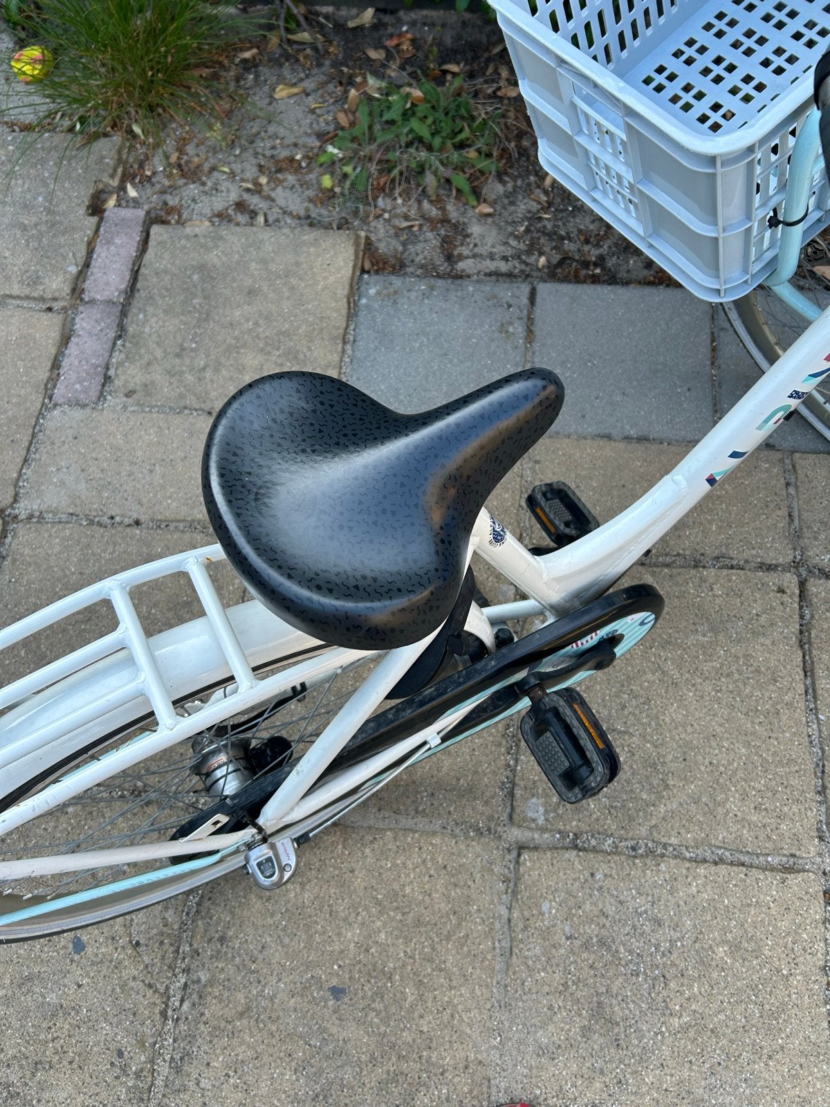 Alpina meisjesfiets 20 inch - Goede staat, Ophalen, Terugtraprem, Gebruikt, Handrem