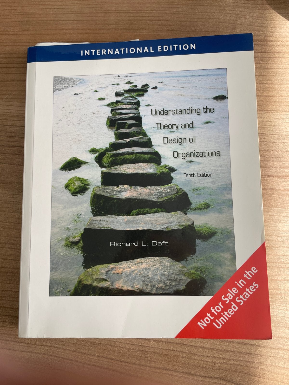 Understanding the Theory and Design of Organizations, Boeken, Ophalen of Verzenden, Gamma, Zo goed als nieuw, HBO