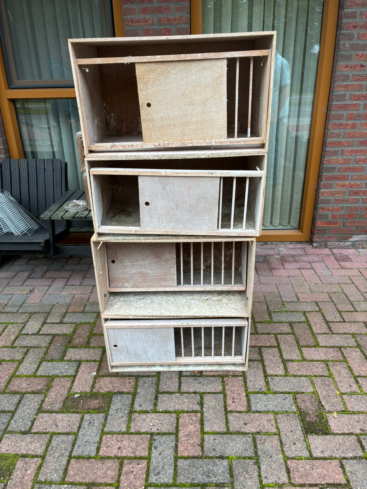 4 weduwnaars bakken /broedbakken, Dieren en Toebehoren, Mannelijk, Overige soorten