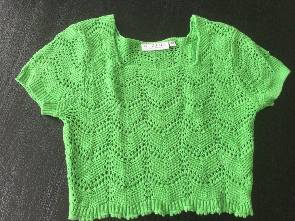 Een plaatje zeer netjes d-zine t shirt Croptop 164/170, Meisje, Ophalen of Verzenden, Zo goed als nieuw, Shirt of Longsleeve