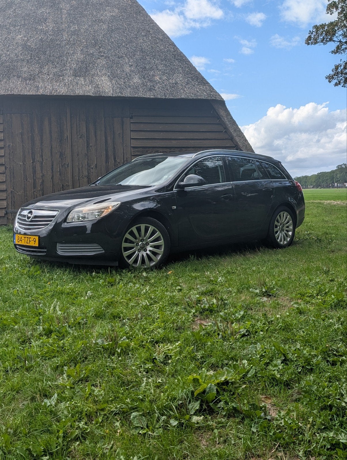 Opel Insignia Sports Tourer 2.0 Turbo 220 pk Automaat 149km, Auto's, 1998 cc, Stof, Zwart, 4 cilinders