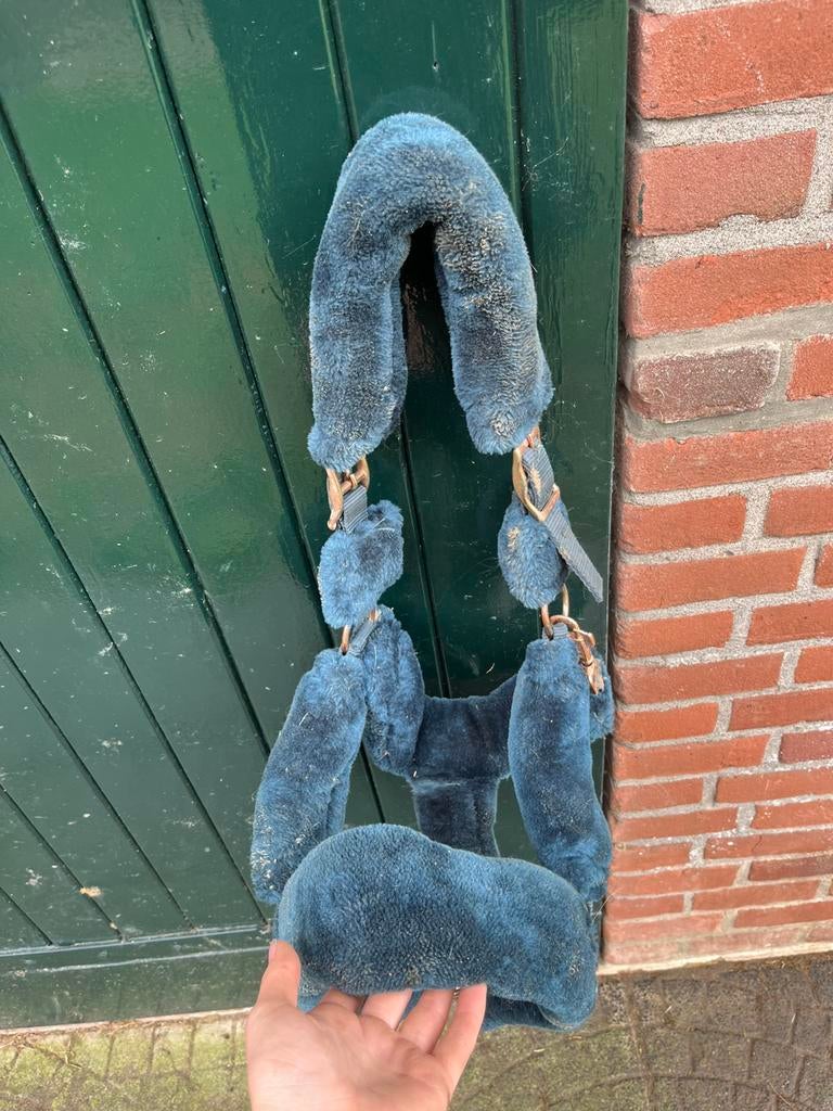 Bonte halster, Ophalen of Verzenden, Zo goed als nieuw, Overige soorten