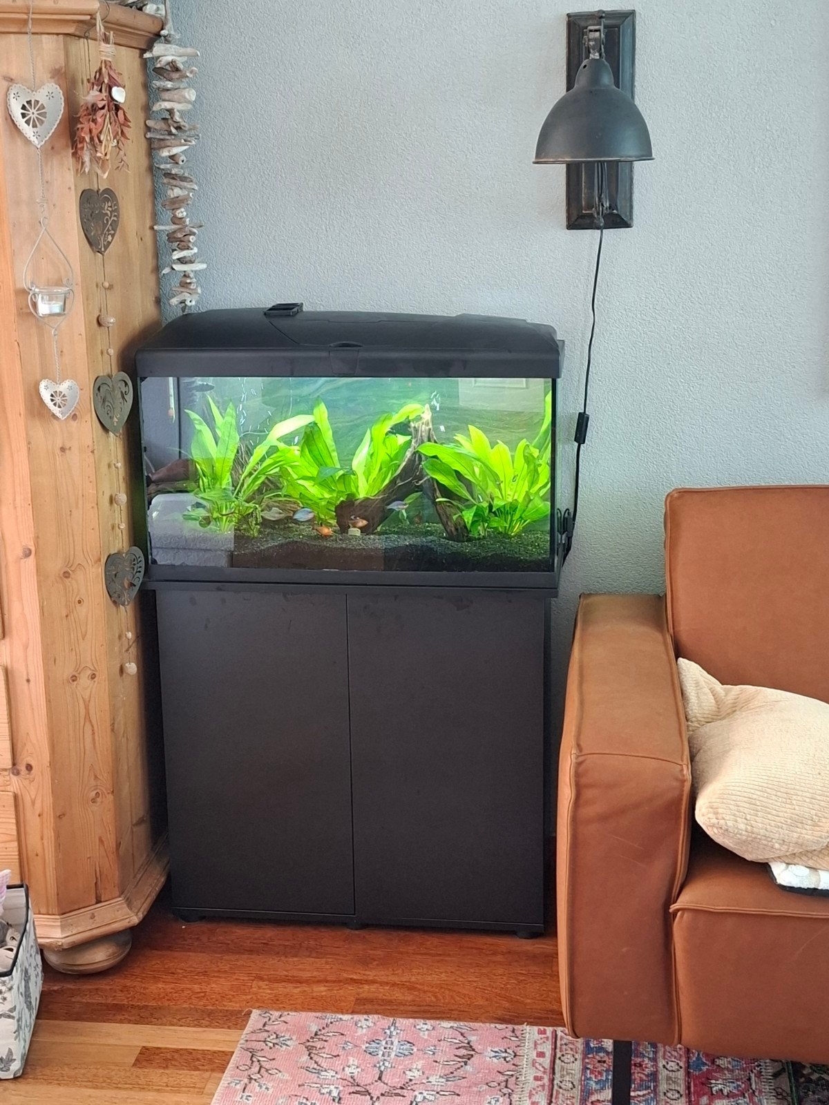 Prachtig aquarium compleet met alles wat er nodig is + kast, Dieren en Toebehoren, Ophalen, Zo goed als nieuw, Gevuld zoetwateraquarium