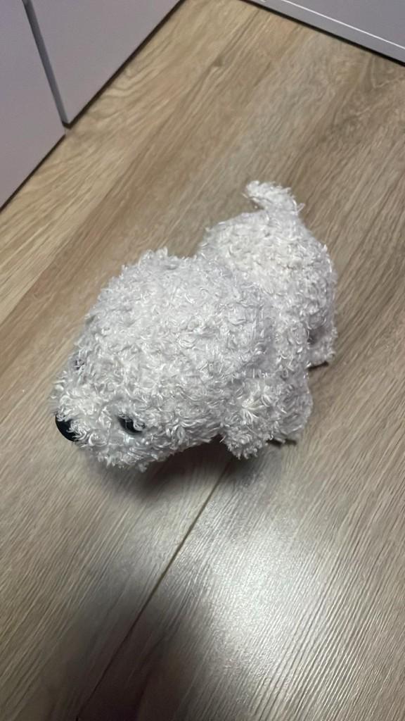 Honden knuffel, Kinderen en Baby's, Speelgoed | Knuffels en Pluche, Ophalen, Grijs, Hond, Zo goed als nieuw