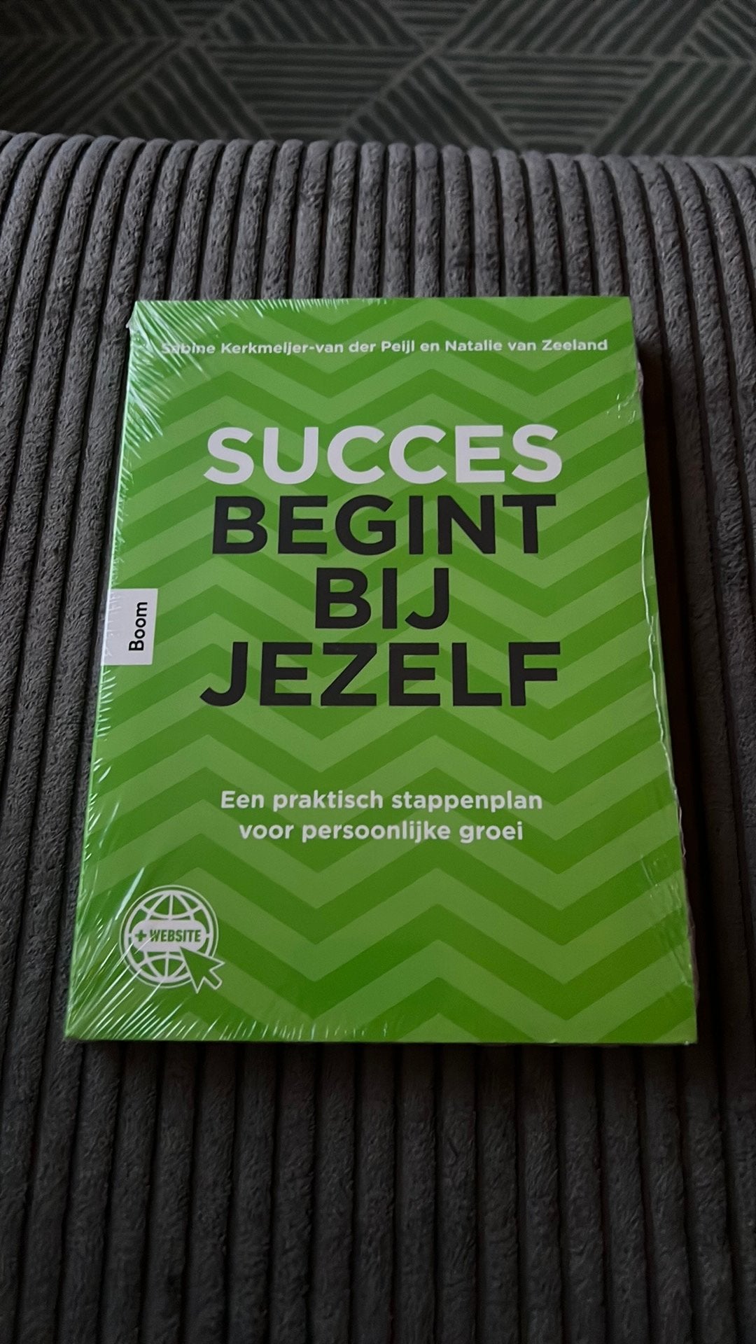 NIEUW Succes begint bij jezelf, Ophalen of Verzenden, Nieuw, Overige niveaus, Natalie van Zeeland; Sabine Kerkmeijer-van der Peijl