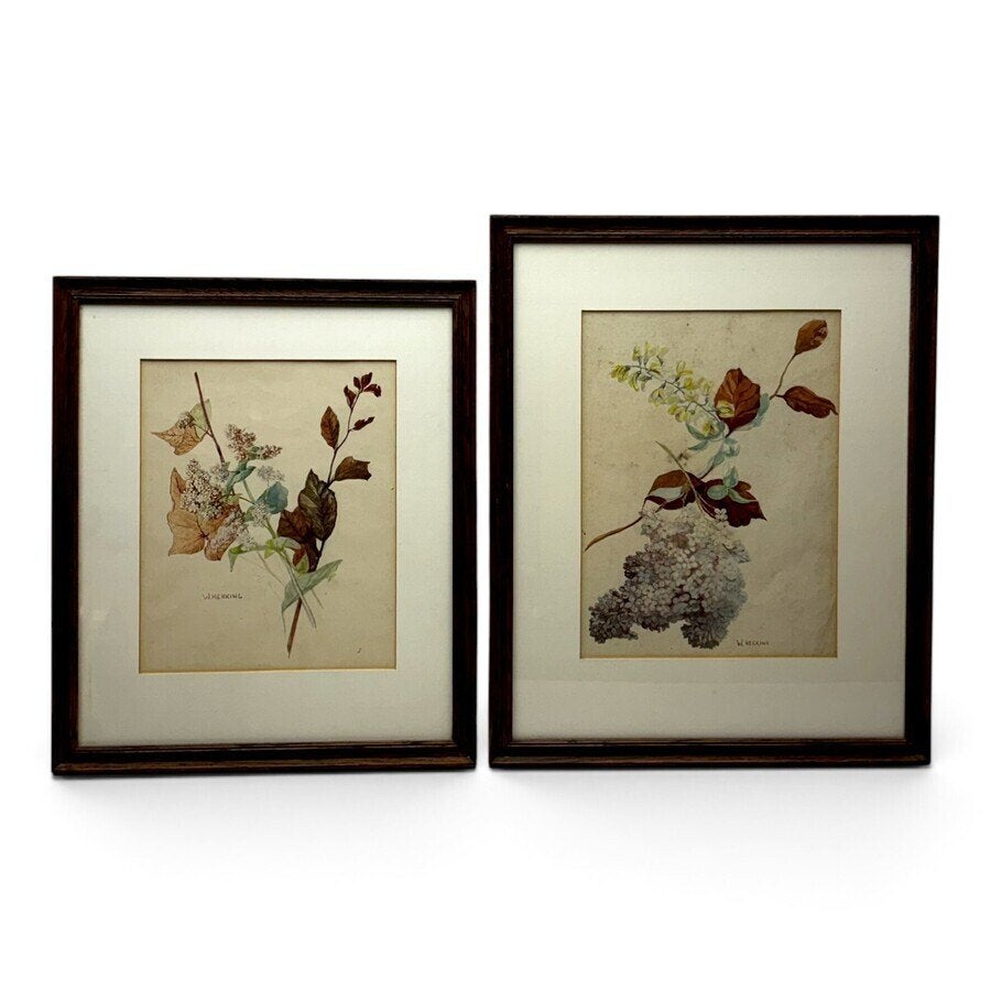 Paar botanische tekeningen, Ophalen of Verzenden, Tekening, Aquarel, Achter glas