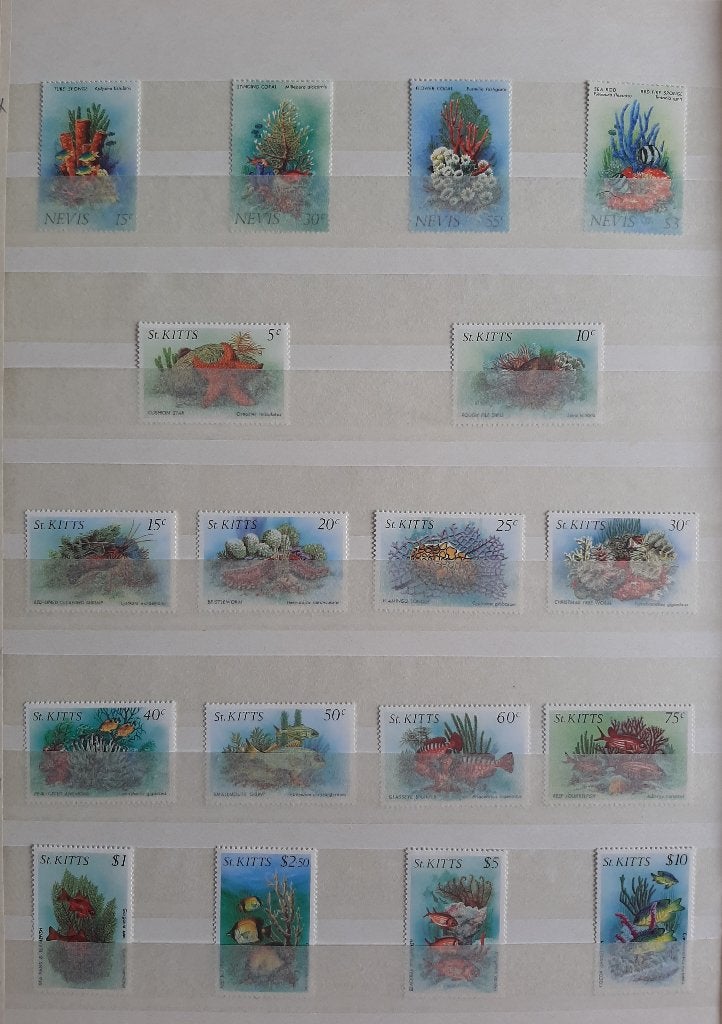 Nevis St. Kitts Nr. 12 Postzegels met Vissen Postfris, Ophalen, Postfris, Dier of Natuur