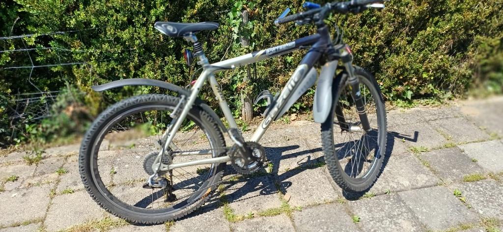 fiets, Fietsen en Brommers, Fietsen | Dames | Damesfietsen, Zo goed als nieuw, Gazelle, Versnellingen, 50 tot 53 cm, Velgrem, Ophalen