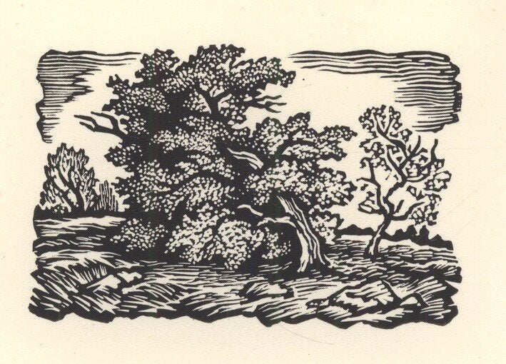 1758 Ex Libris Nederland : Thijs Mauve, z.j., Verzenden, Ex libris