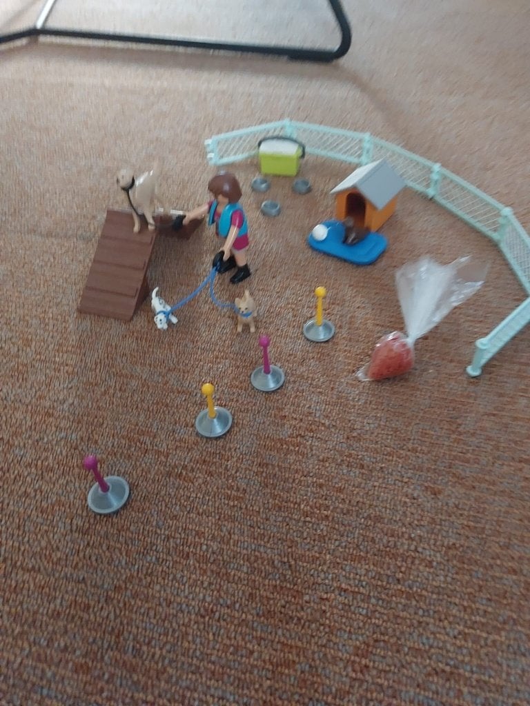 Playmobil Hondentrainster, Gebruikt, Overige typen, Ophalen of Verzenden, City life