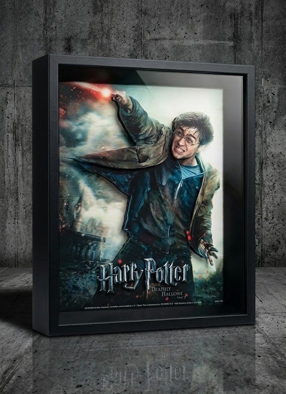 Partij Ingelijste 3D-wanddecoratie van Harry potter, NHP International, Overige typen, Nieuw, Ophalen of Verzenden