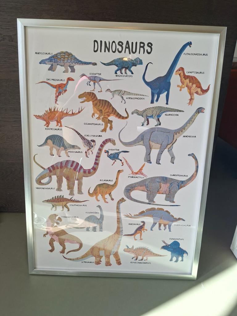 Ingelijste Dinosaurus Poster - Educatief en Decoratief, Ophalen, Zo goed als nieuw