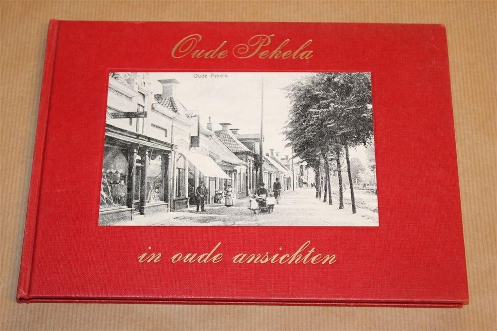 Oude Pekela in Oude Ansichten — Deel 1 [1972], Boeken, Geschiedenis | Stad en Regio, Ophalen of Verzenden, Gelezen