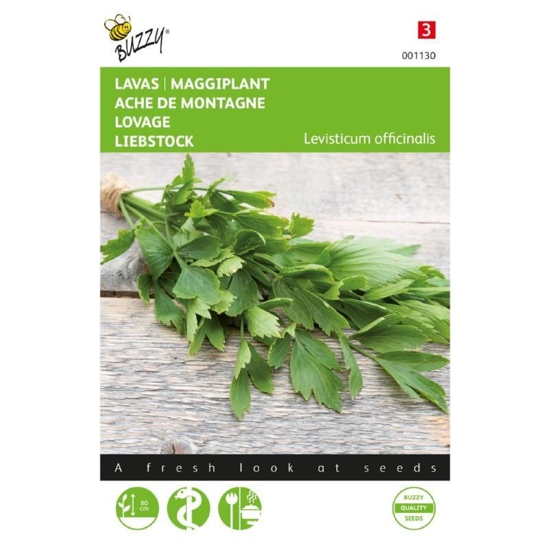Buzzy Seeds Lavas (Maggiplant) kruidenzaden - nieuw, Ophalen of Verzenden, Voorjaar, Volle zon, Zaad