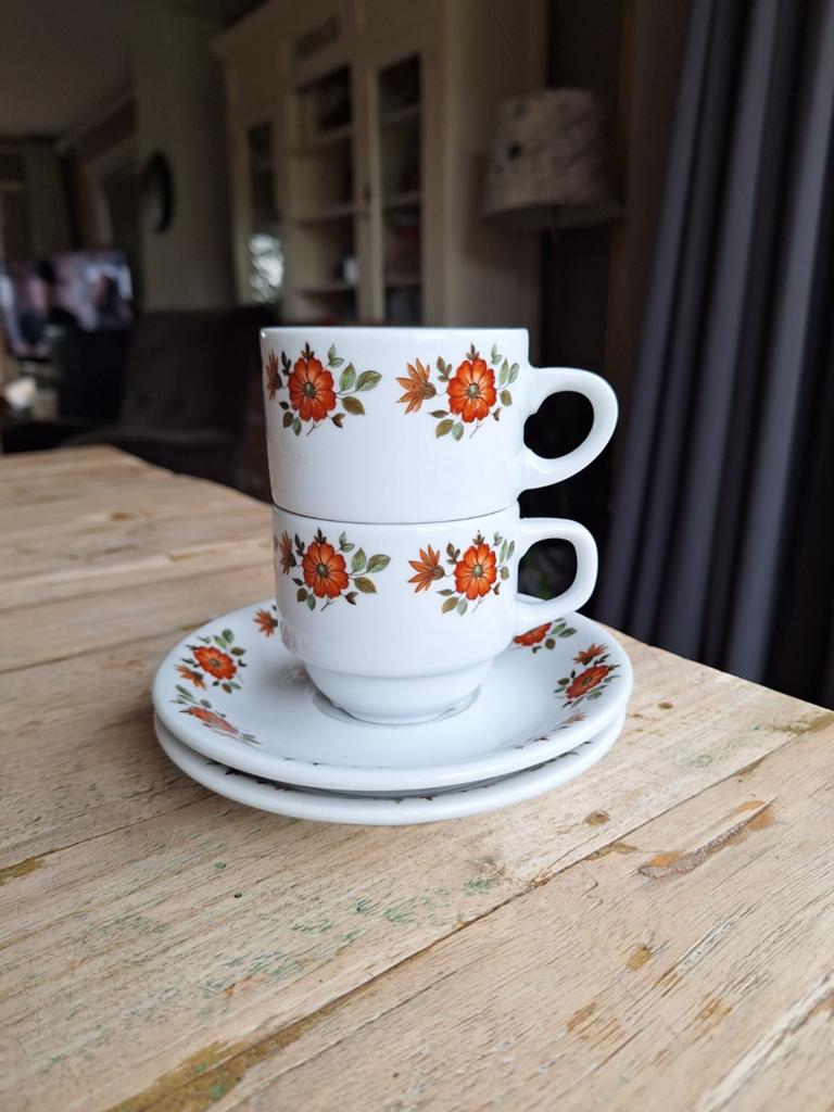 Vintage Royal Schwabap kop en schotels (set van 2) Jaren 70, Antiek en Kunst, Ophalen of Verzenden