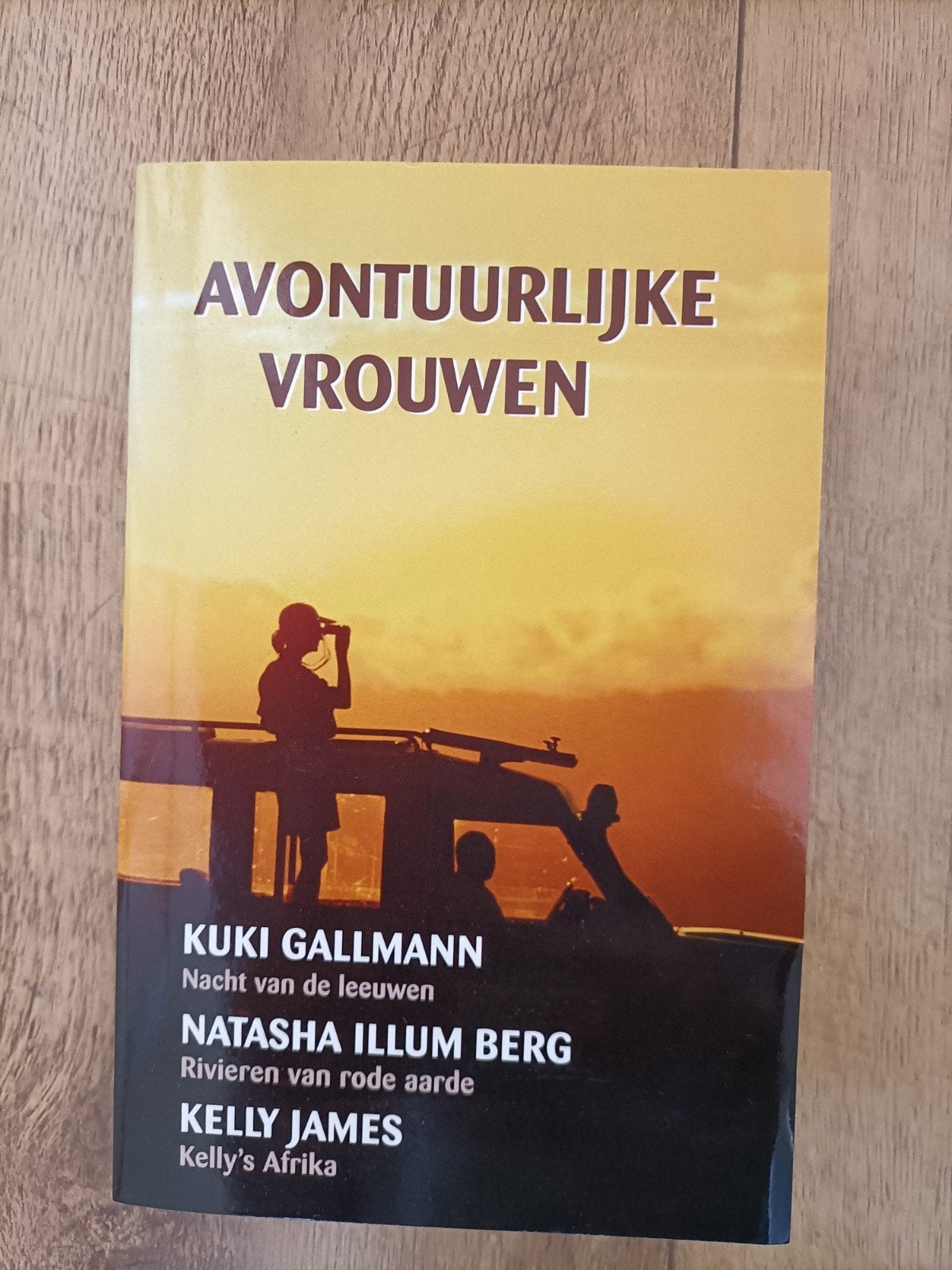 Diverse boeken, Ophalen of Verzenden, Zo goed als nieuw, Diverse auteurs, Amerika