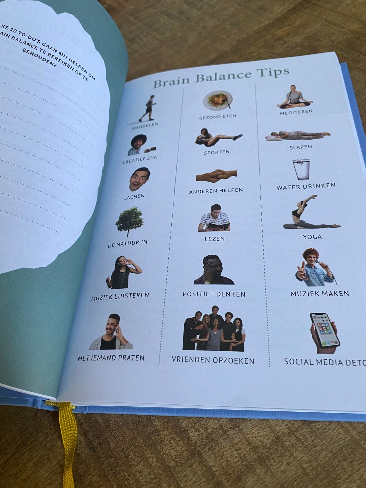 Brain Balance Journal - Blauw of Roze, Boeken, Ophalen of Verzenden, Nieuw, Gezondheid en Conditie