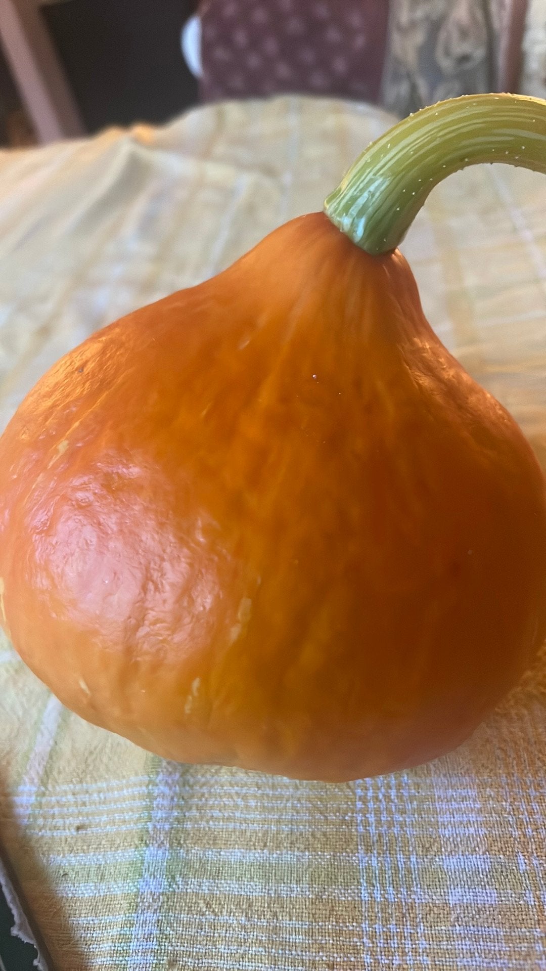 Eetbare pompoenen jam soep etc.., Tuin en Terras, Ophalen, Volle zon