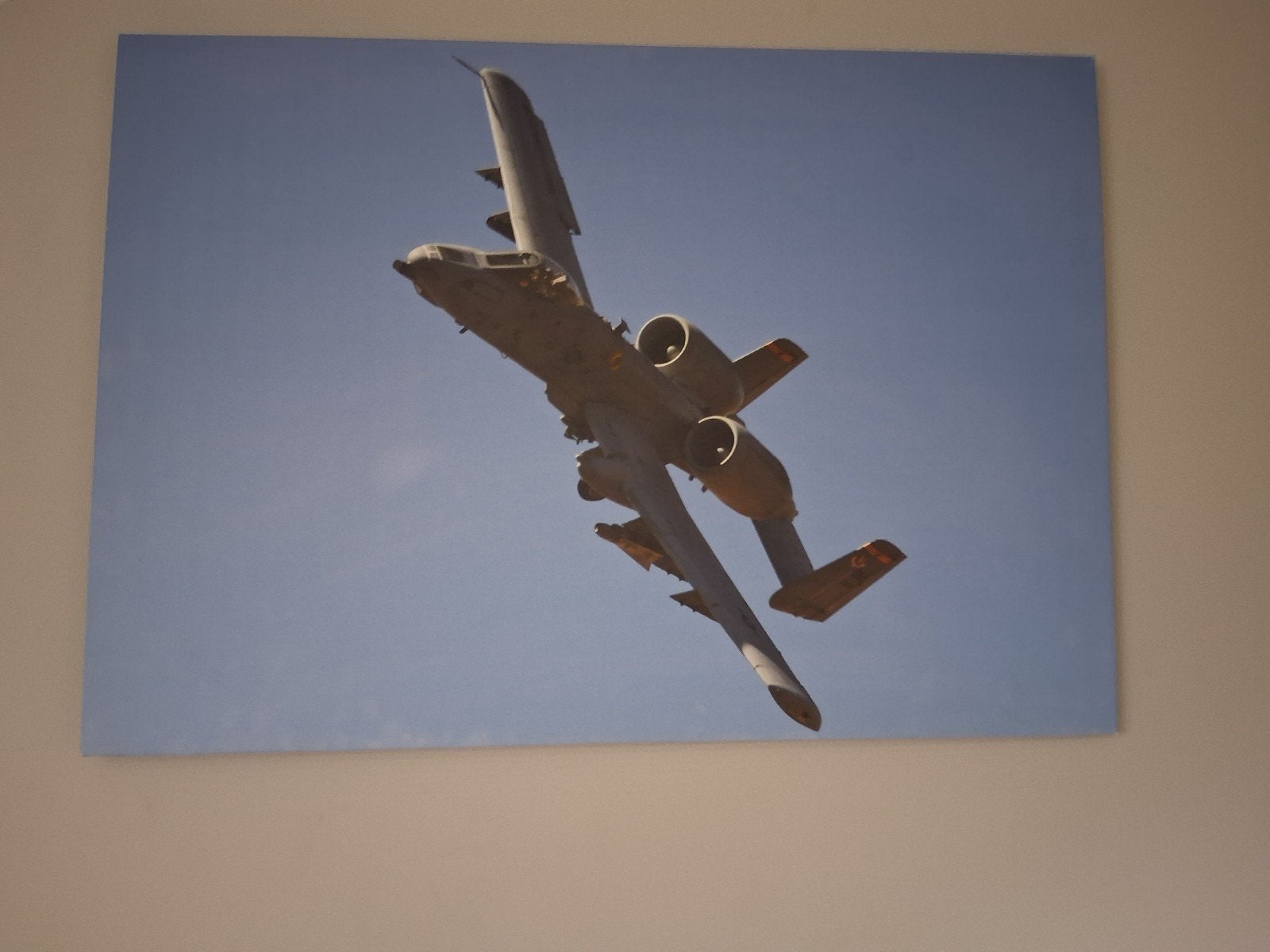 Straaljager op canvas doek in houten frame 100x70 cm, Ophalen, Zo goed als nieuw