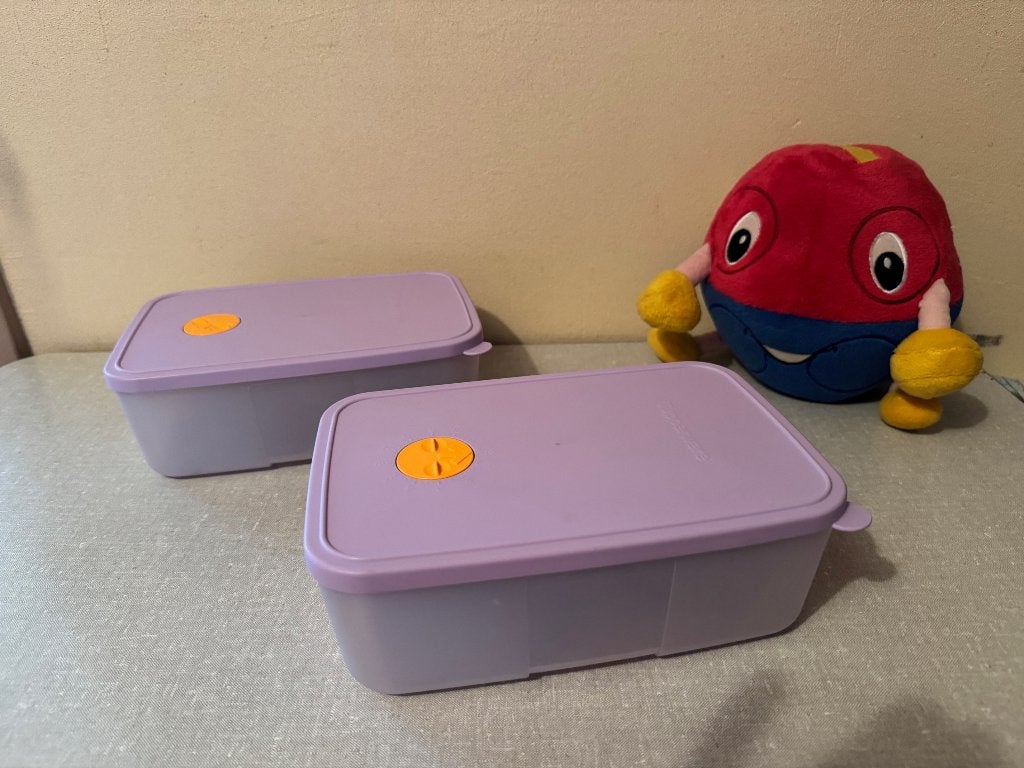 2 I.Z.G.S. diepvriesbakken + maandaanduiding van TUPPERWARE, Gebruikt, Paars, Ophalen of Verzenden, Met deksel