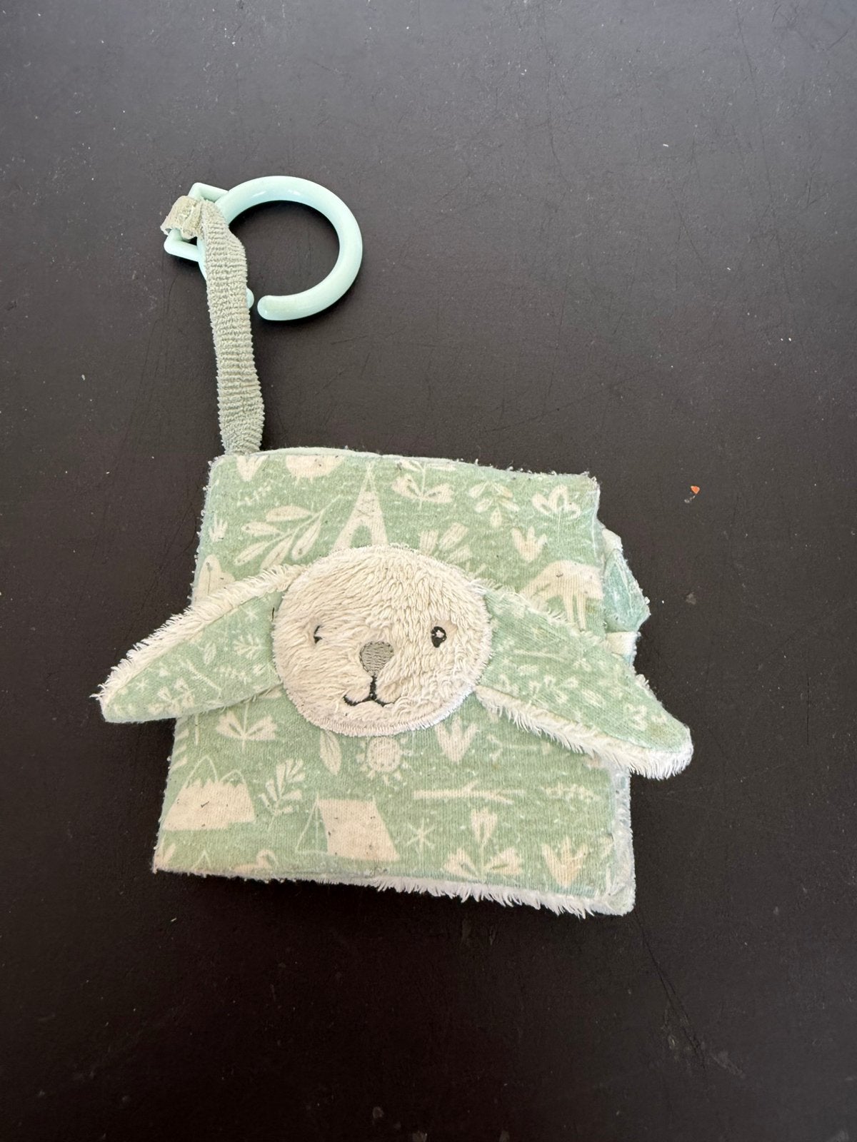 Buggyboekje little dutch, Ophalen of Verzenden, Gebruikt, Overige typen