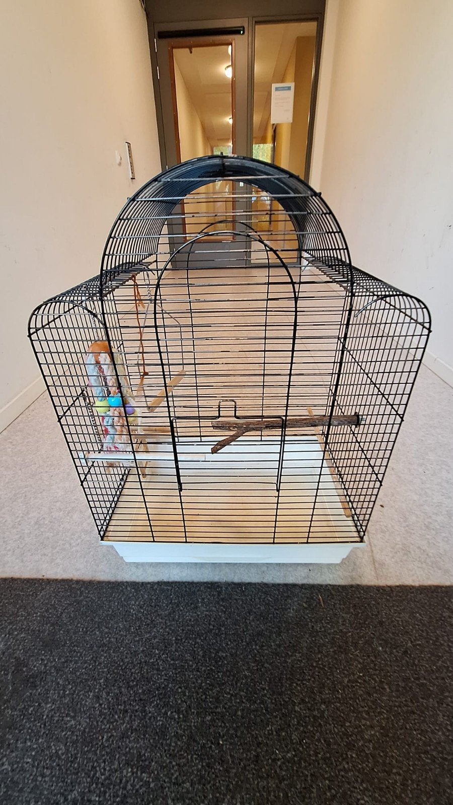 Kleine vogelkooi, Dieren en Toebehoren, Ophalen, Gebruikt, Metaal, Vogelkooi