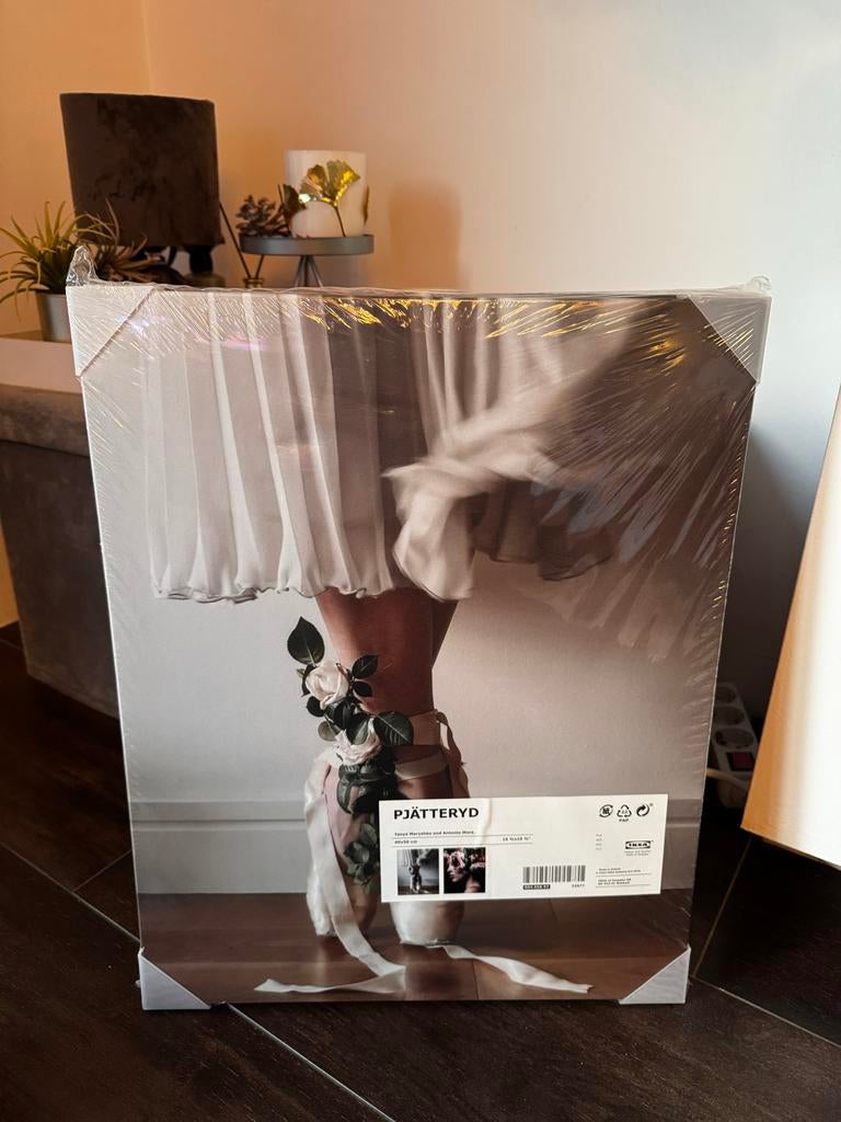 IKEA PJÄTTERYD Schilderijen - Nieuw & Geseald (2 stuks), Huis en Inrichting, Ophalen, Nieuw, Schilderij, 50 tot 75 cm