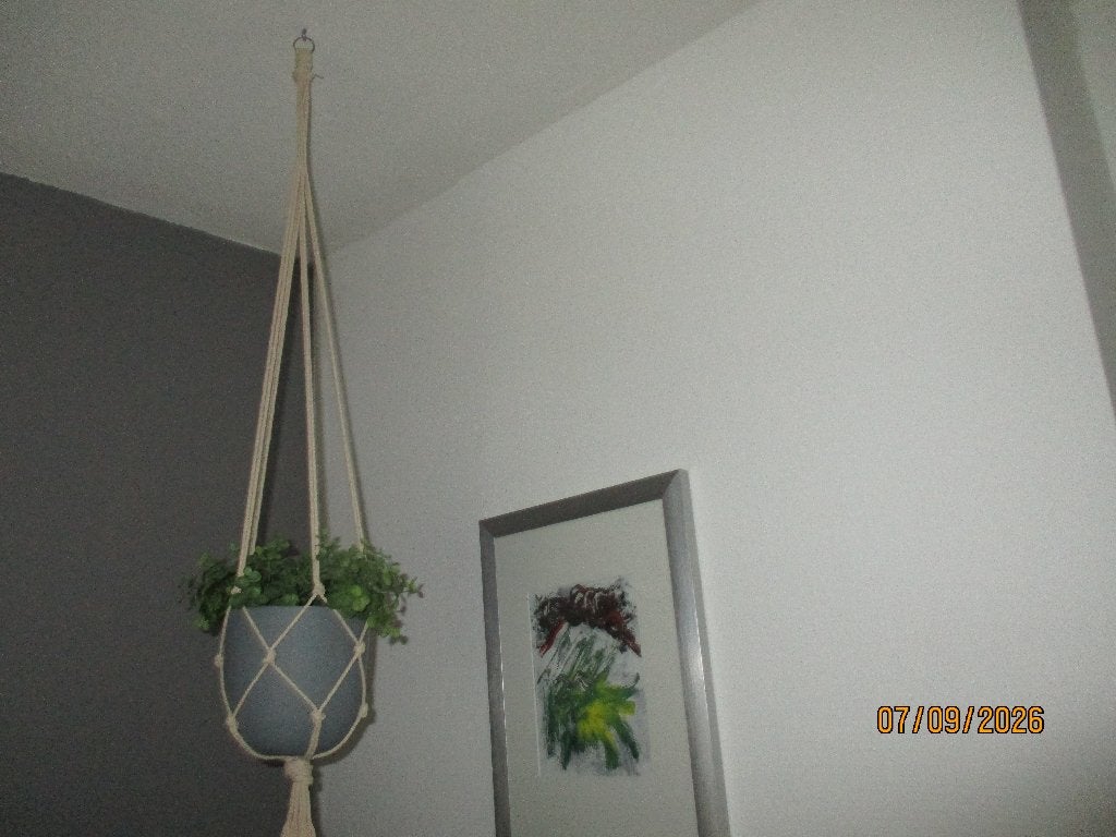 hanger+bloempot+kunststofplantje, Ophalen, Zo goed als nieuw, Binnen