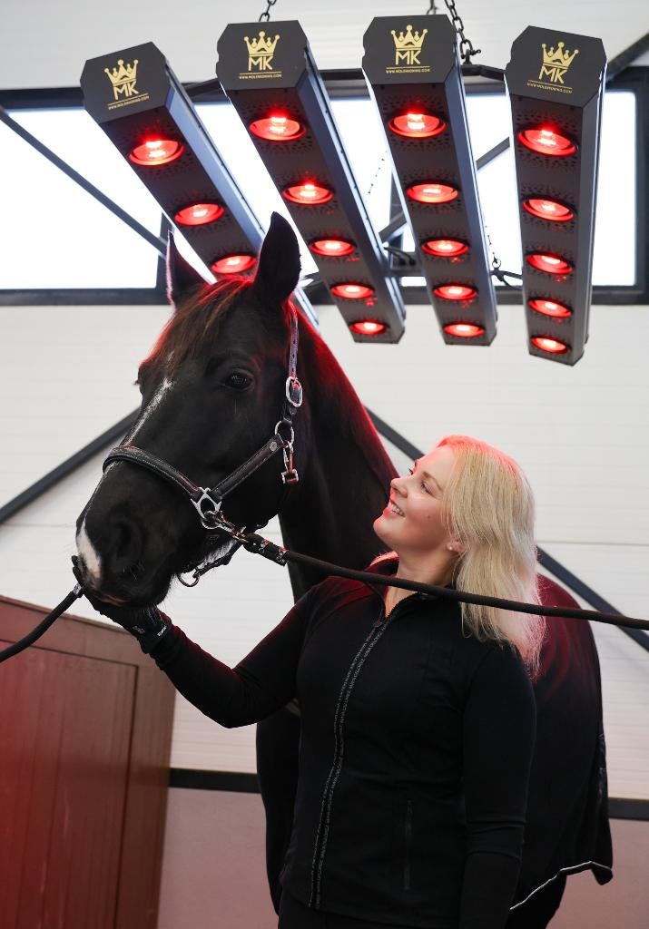 MK infrarood Premium Solarium voor paarden €1595 ,- excl.BTW, Ophalen, Nieuw