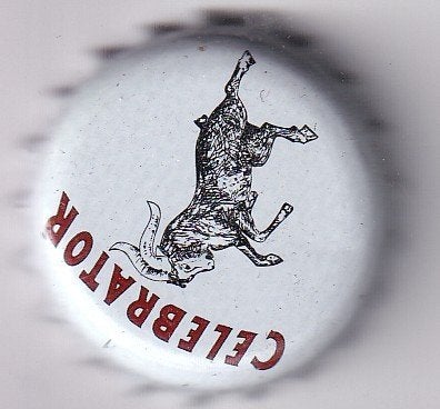 24 bierdoppen / kroonkurken divers 2508 02, Ophalen of Verzenden, Nieuw, Flesje(s), Overige merken