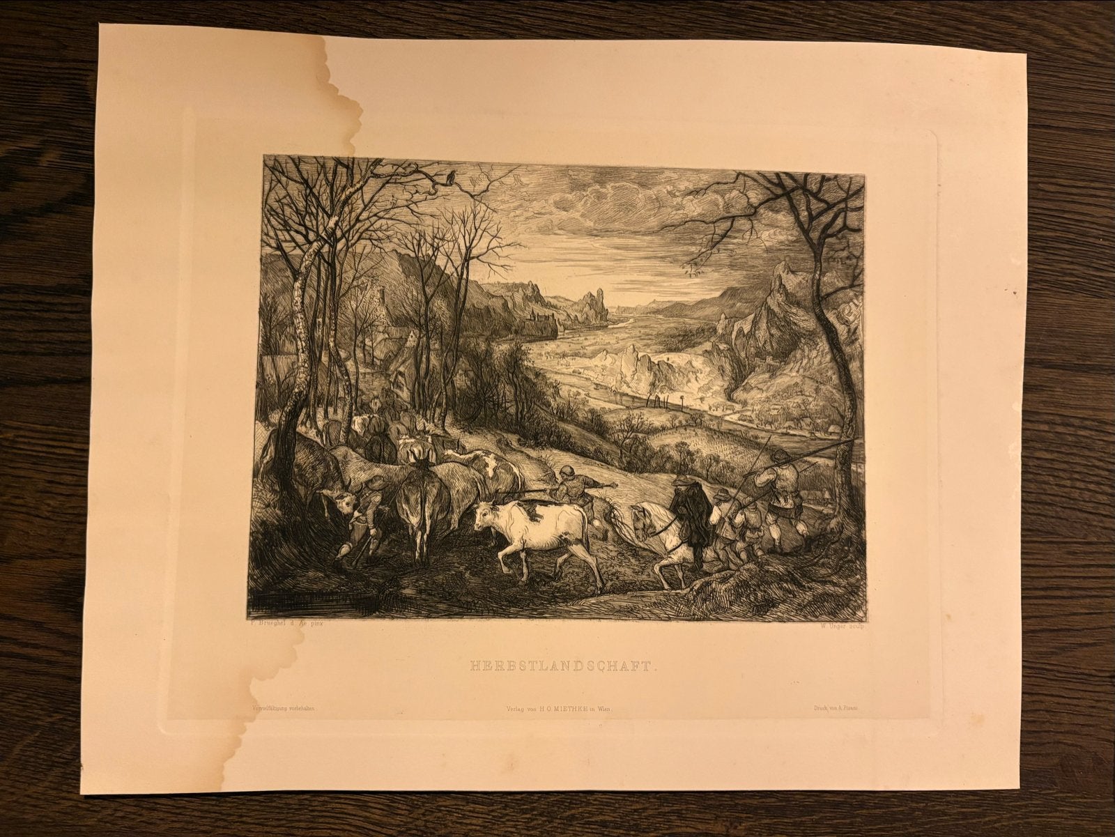 Antieke Gravure: Herfstlandschap met Vee en Herders, Antiek en Kunst, 1800 - 1899, Met tekst, Ophalen of Verzenden, Gravure