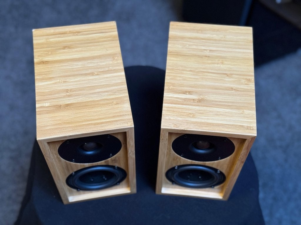 iFi audio Retro LS3.5, Audio, Tv en Foto, Luidsprekers, Gebruikt, Minder dan 60 watt, Front, Rear of Stereo speakers, Ophalen