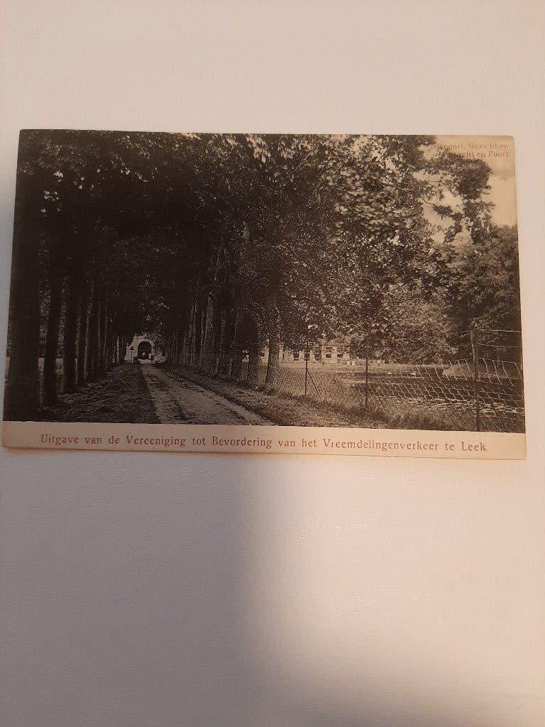 Leek, Nienoord gezicht op burcht en poort. rondstempel Leek, Verzenden, Voor 1920, Gelopen, Groningen