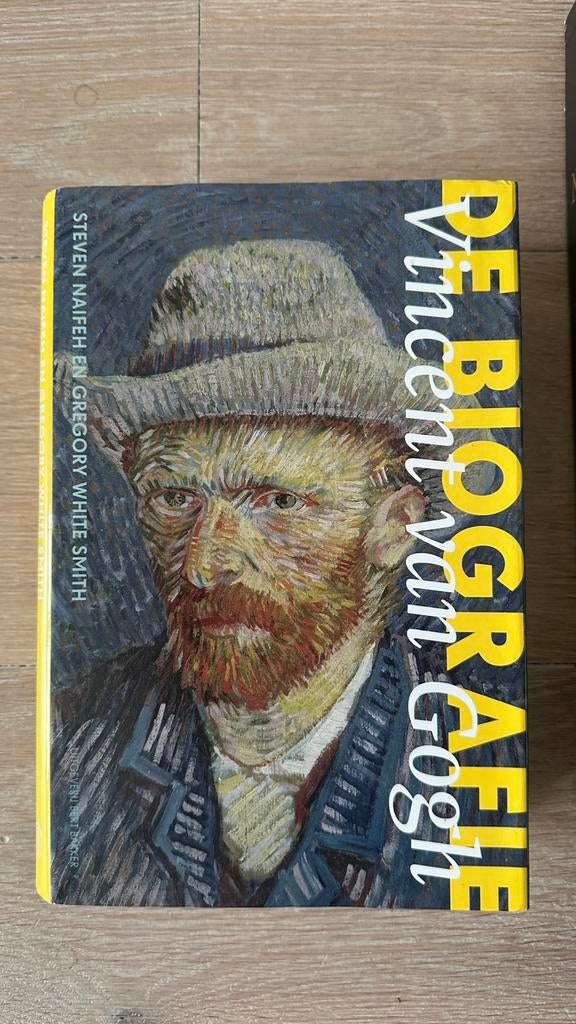 Vincent van Gogh biografie boek, Ophalen of Verzenden, Gelezen, Kunst en Cultuur