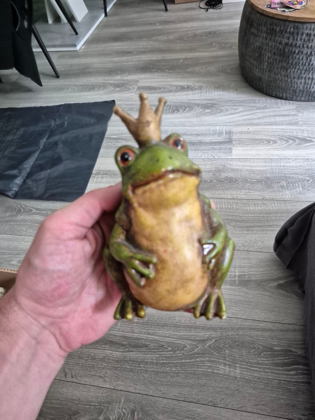 Decoratieve Kikker met Kroon - Uniek Woonaccessoire, Groen, Overige stijlen, Ophalen of Verzenden, Zo goed als nieuw