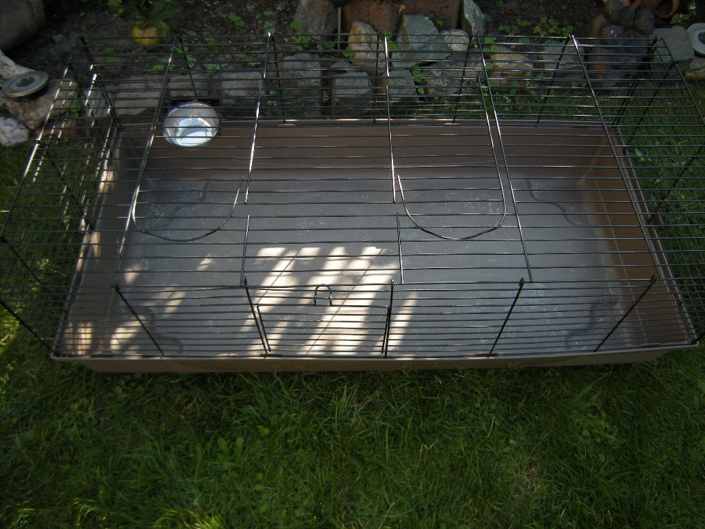 Konijnen / Caviaren, Dieren en Toebehoren, Knaagdieren en Konijnen | Hokken en Kooien, Konijn, Ren, Ophalen, Minder dan 60 cm