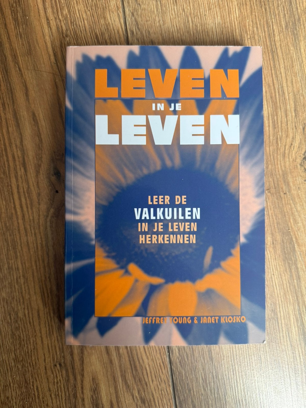 Leven in  je leven- Jeffrey Young en Janet Klosko, Boeken, Ophalen of Verzenden, Zo goed als nieuw