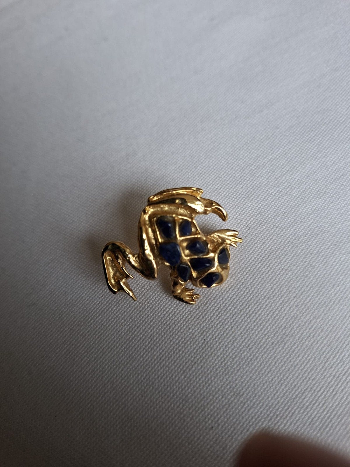 Broche met kikker, Ophalen of Verzenden, Goud, Overige materialen